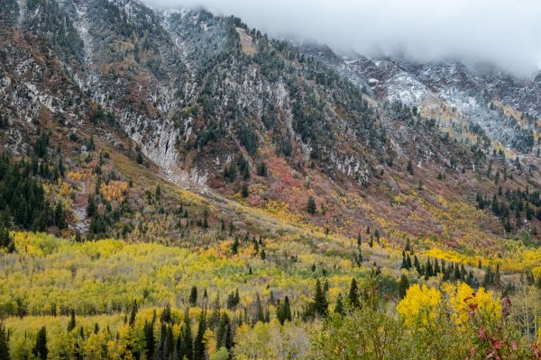 Montaire Student Living Apartments Colorful autumn trees cover a mountain slope, with clouds partially hiding the snowy peaks above.