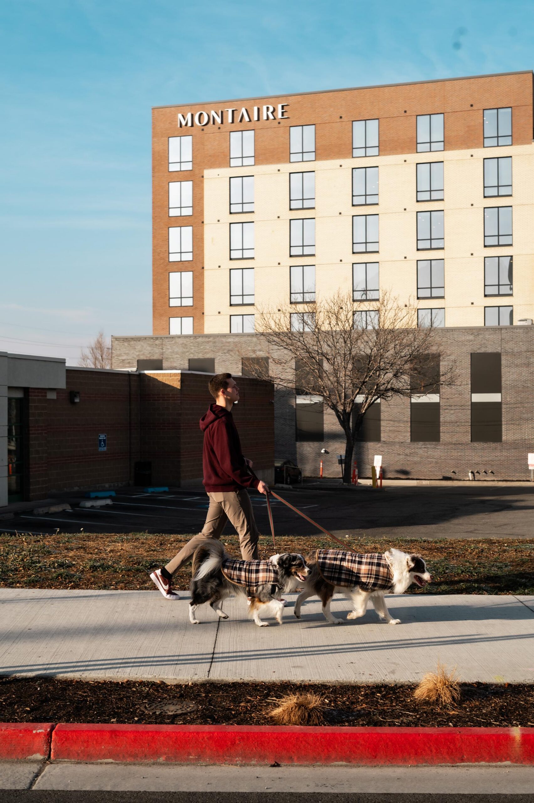 Montaire Student Living Apartments Person walking two dogs in plaid coats on a sidewalk in front of a hotel building on a sunny day.